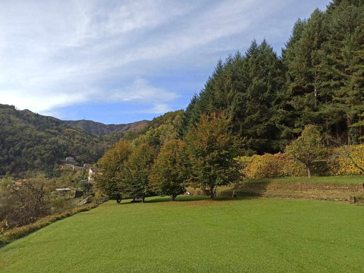 Ferienwohnung Il Bosco Di Campo Marzano Sunlight Borzonasca Exterior foto