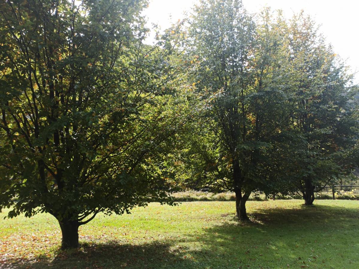 Ferienwohnung Il Bosco Di Campo Marzano Sunlight Borzonasca Exterior foto