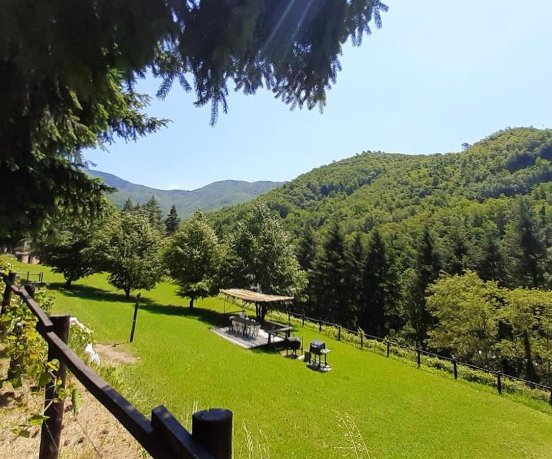 Ferienwohnung Il Bosco Di Campo Marzano Sunlight Borzonasca Exterior foto