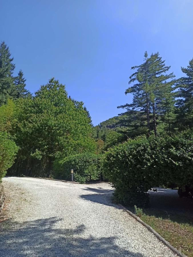 Ferienwohnung Il Bosco Di Campo Marzano Sunlight Borzonasca Exterior foto