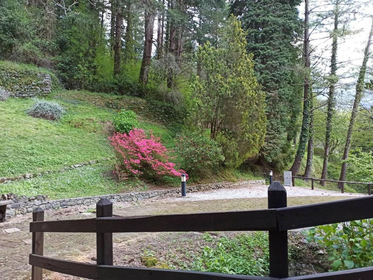 Ferienwohnung Il Bosco Di Campo Marzano Sunlight Borzonasca Exterior foto