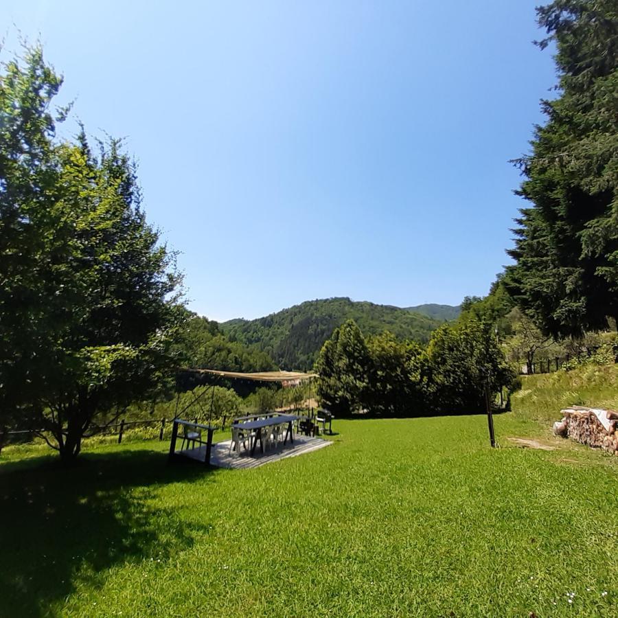 Ferienwohnung Il Bosco Di Campo Marzano Sunlight Borzonasca Exterior foto